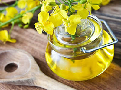 Aceite de canola