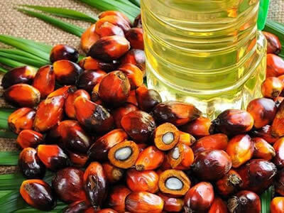 Aceite de palma
